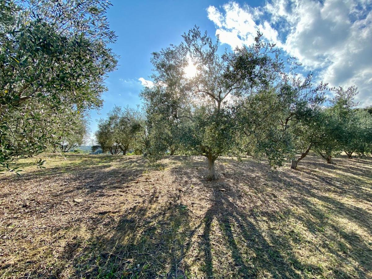 Domaine Punta Della Guardia Villa Vue Mer Dans Nature Protegee, Plage A 1,5 Km Cervione Εξωτερικό φωτογραφία